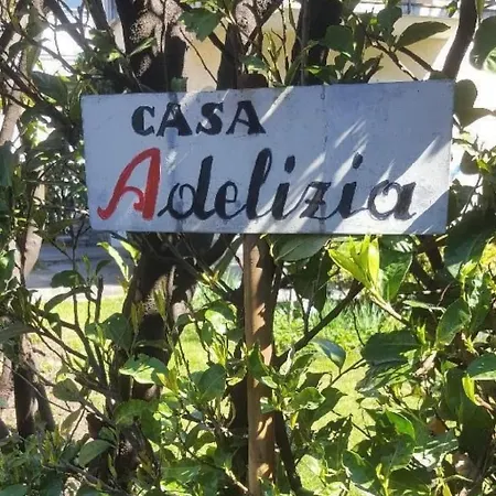 Casa Adelizia By Interhome Appartement Ascona