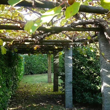 Casa Adelizia By Interhome Appartement Ascona