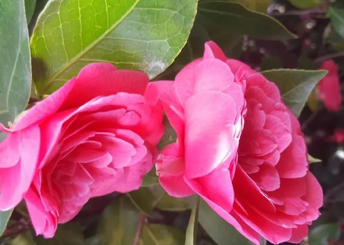 Casa Adelizia By Interhome